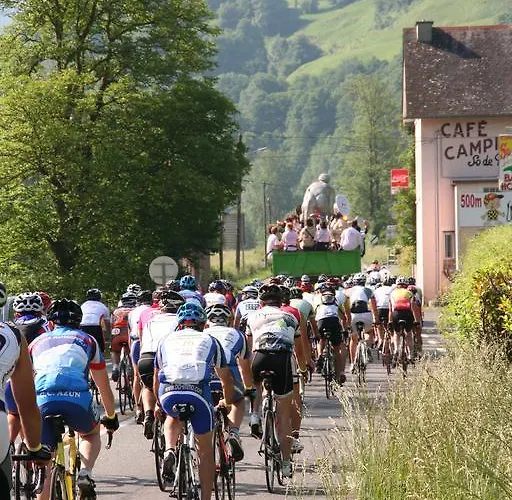 阿尔巴酒店 卢德